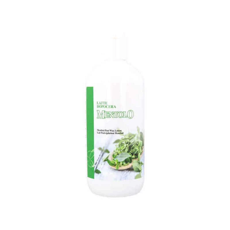 Kosteuttava maito Idema Leche Post Mintunvihreä (500 ml)