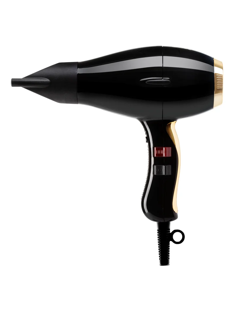 3900 Healthy Ionic: Phon Professionale Potente Elchim