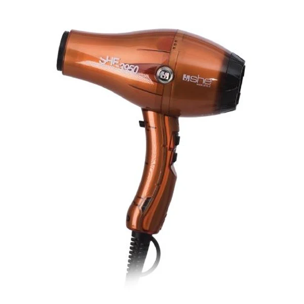Asciugacapelli professionale super leggero 3950 SHE