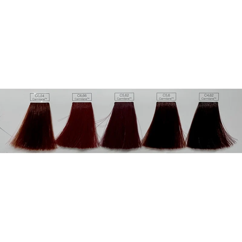 L'OREAL ìNOA COLORAZIONE PERMANENTE SENZA AMMONIACA - CARMILANE