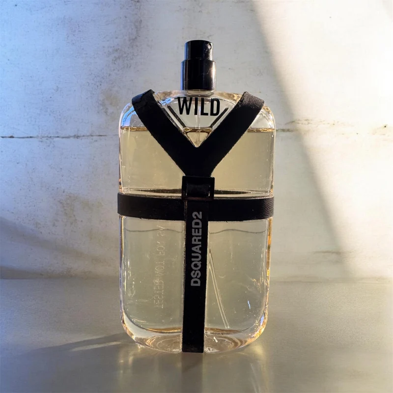 Dsquared2 Wild Eau de Toilette 100ml TESTER Usato