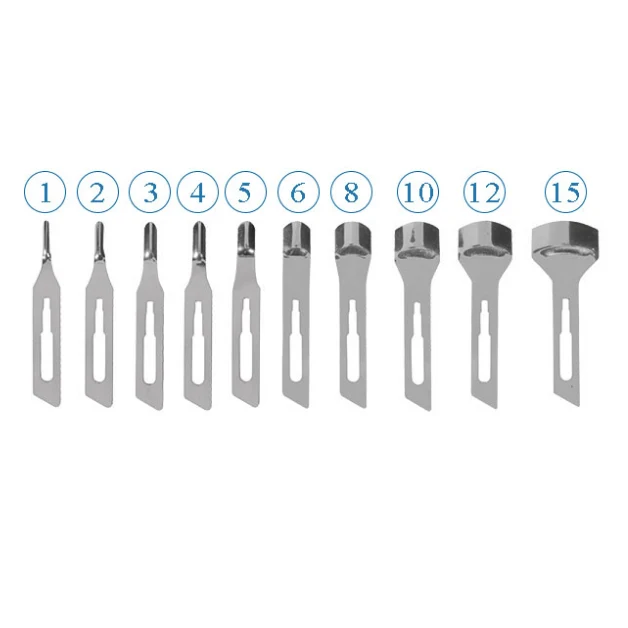 Lame Sgorbia Dimensioni Assortite 12pz