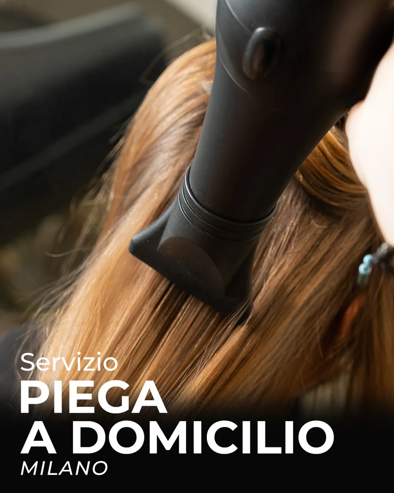 Piega a domicilio (Milano)